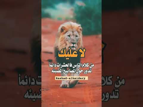 كلام الناس حالات واتساب الحصول 