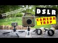 Making a DSLR Camera Trap for Wildlife Photography with a Camtraptions V3 PIR sensor