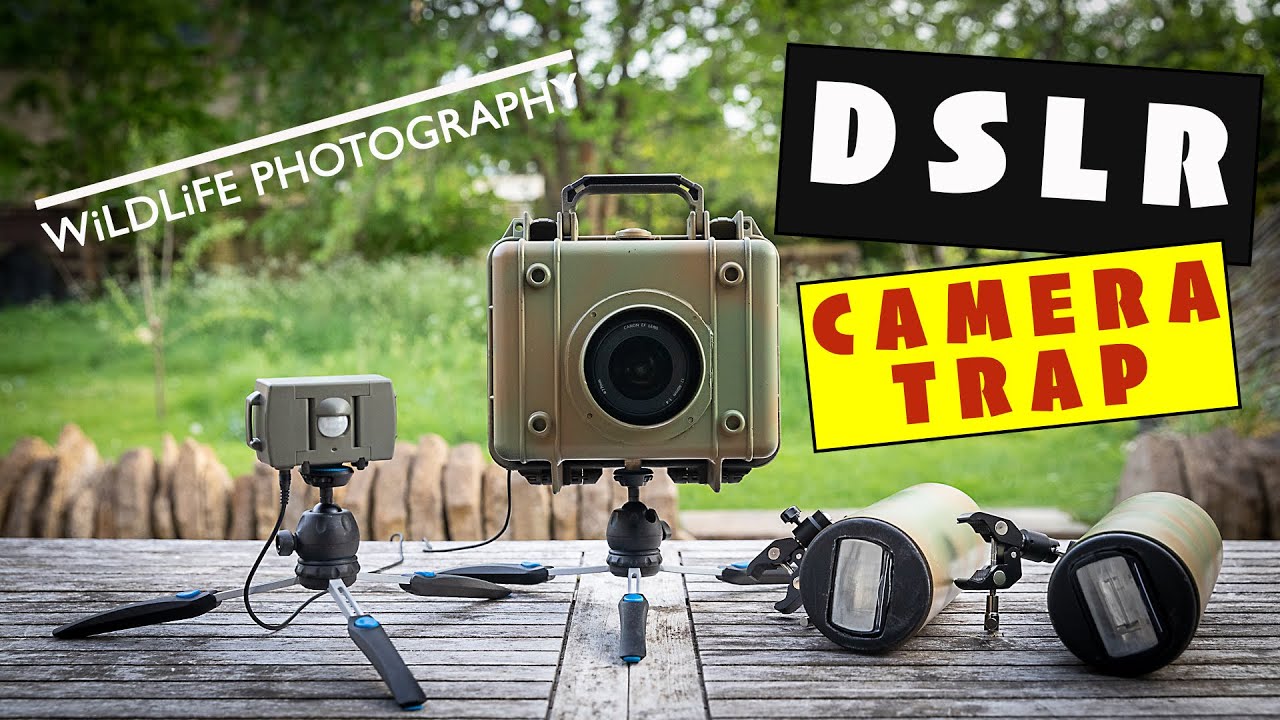 Making a DSLR Camera Trap for Wildlife Photography with a Camtraptions V3  PIR sensor - YouTube