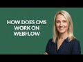 How Does Cms Work on Webflow - Julia'sTutorials