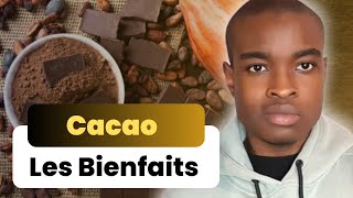 Le pouvoir du cacao : Découvrez ses bienfaits sur la santé !