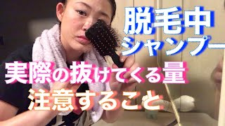 【閲覧注意】脱毛中のシャンプーの実際。注意点と抜ける量について