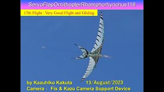 サーボ駆動翼竜型羽ばたき機　ServoFlapOrnithopterRhamphorhynchus118 43g :17th very Good Flight and Gliding
