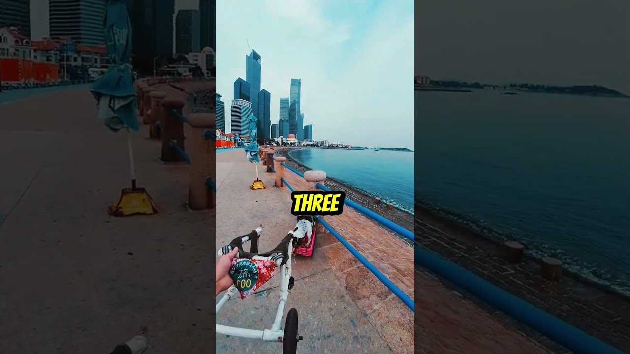 This Dog In A Wheelchair Flies Like Rocket
