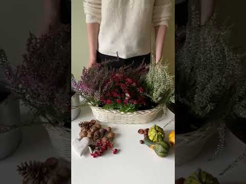 Video: Stylová dekorace pokoje: zdobení květinami