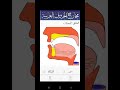 صوت حرف الهمزة 