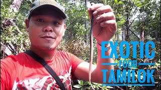 Tamilok Or Wood Worm Pano O Saan Kinukuha Ang Tamilok