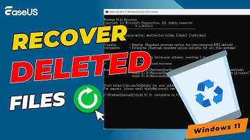 How to Recover Deleted Files on Windows 11 - 4 Ways in 2025✅