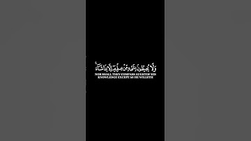 كرومات ايات قرانية شاشة سوداء || سورة البقرة للقارئ #ناصر_القطامي #سورة_البقرة #آية_الكرسي #الله