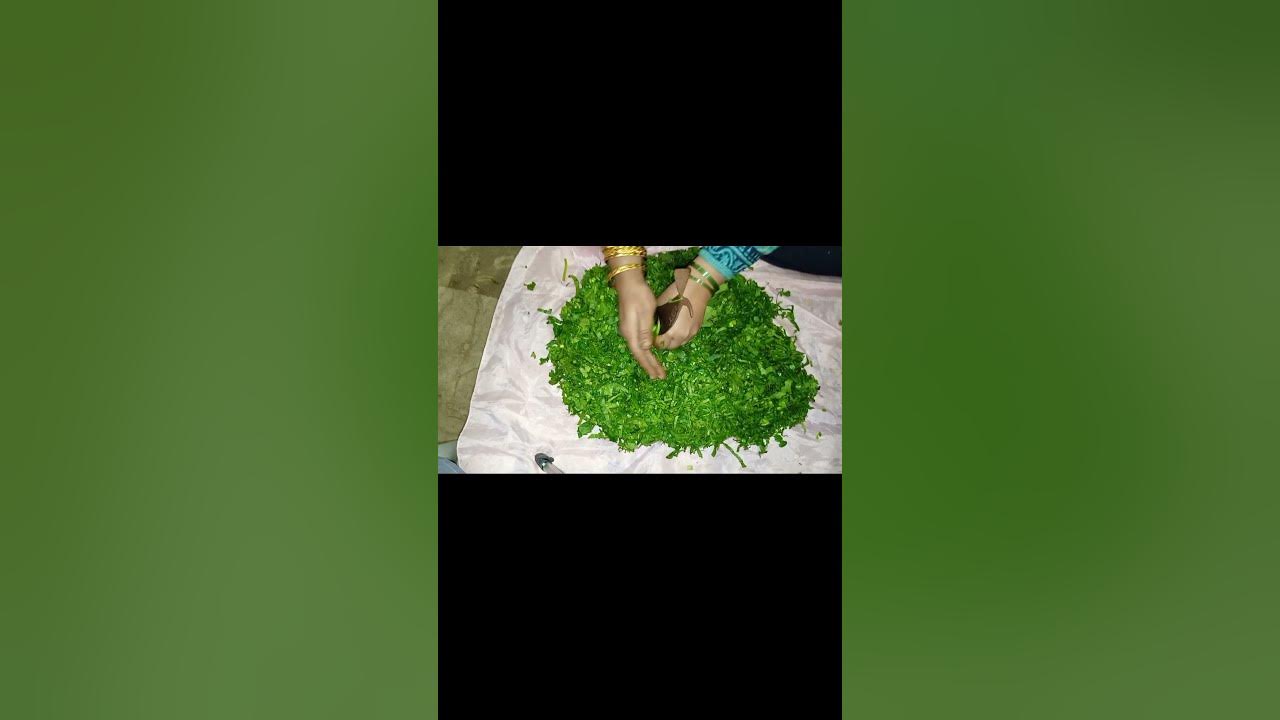 How cut saag in village style crazy Pakwan YouTube