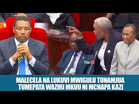 MALECELA AND LUKUVI MWIGULU WE HAVE GOT A PRIME MINISTER IT IS A JOB THERE ARE PEOPLE WHO ARE