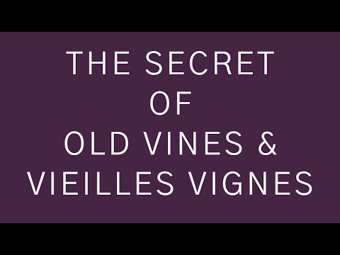 The Secret of Old Vine and Vieilles Vignes Wines