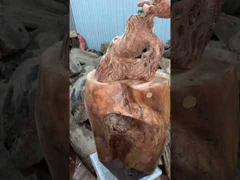 Cảnh nổi bật từ buổi phát trực tiếp