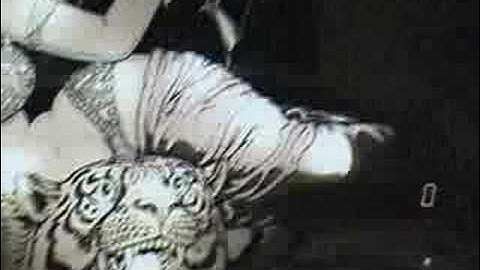 Bally Mata Hari 1978 Pinball machine electronic version