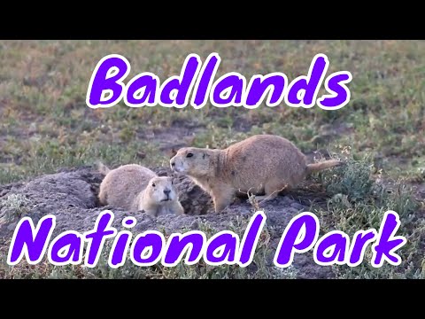 Video: Rritjet më të mira në Parkun Kombëtar Badlands të Dakotës së Jugut