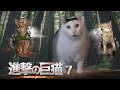 【猫ミーム】進撃の巨猫 第7話 Attack on Cat ep.7