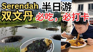 [Serendah 双文丹半日游必吃必打卡] 便宜到哭云吞面排队椰浆糕百年历史手工面天花板泰餐到七仙井寻找仙女姐姐Exploring Serendah for FOOD & FUN!