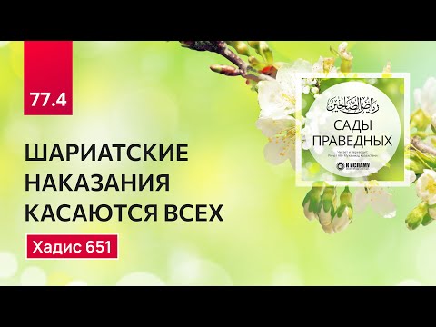 77.4 Сады праведных. ШАРИАТСКИЕ НАКАЗАНИЯ КАСАЮТСЯ ВСЕХ. Хадис 651. Ринат Абу Мухаммад