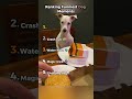 Funniest Dog Moments #fyp #ranking #top5 #top #dogmemes #funny