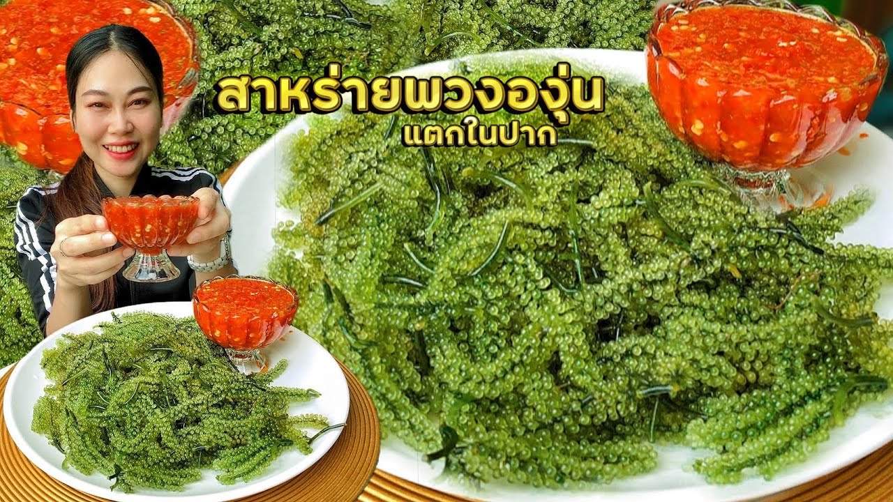 กินสาหร่ายพวงองุ่นกรุบๆแตกในปากฟินมาก น้ำจิ้มซีฟู้ดปลาร้าเดือดๆเข้ากันนัมเบอร์วัน
