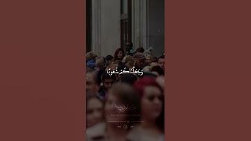 تلاوة الآية ۱۳ من سورة مباركة حجرات | Telawat the 13 verse of Al_Hojorat