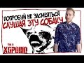 Попробуй не засмеяться, слушая эту собаку.