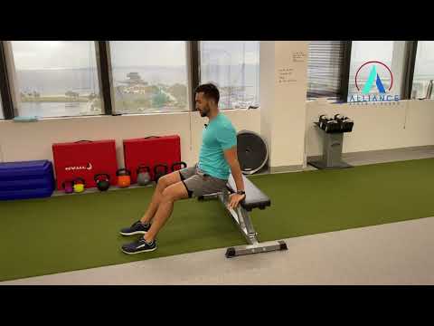 Bench Scapular Depression Dips