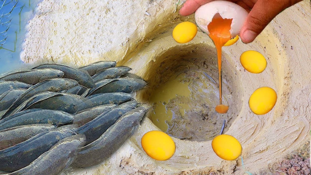 New fishing techniques Unbelievable Hole Fishing With Duck Eggs