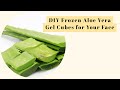How to Make Aloe Vera Gel for Face