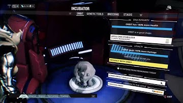 Warframe (en) Kubrow breeding guide-Steps