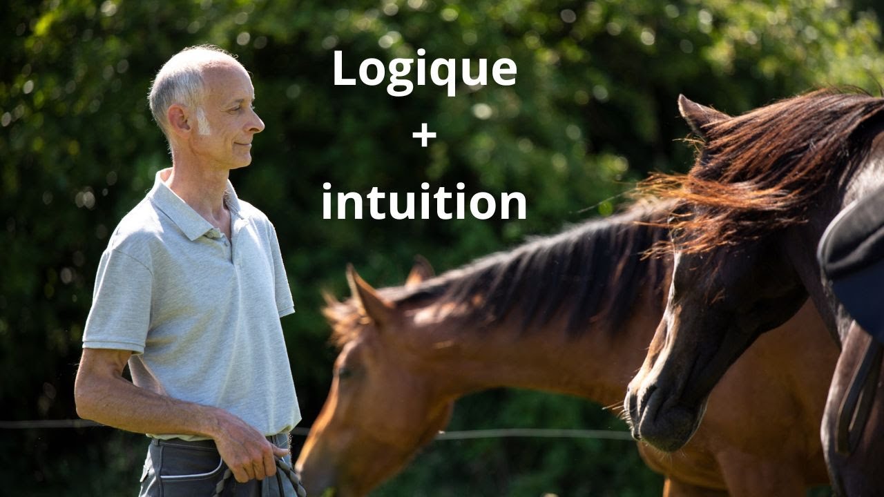 Équitation : La logique et l'intuition au service de votre relation avec le cheval