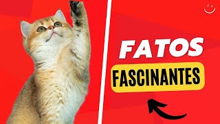 Descubra as Curiosidades Mais Fascinantes Sobre Gatos! by Fatos Curiosos dos Felinos  49 views 1 year ago 3 minutes, 8 seconds