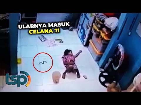 Video: Wanita Ular Itu Menyampaikan Penyakitnya Kepada Anak Perempuannya - Pandangan Alternatif