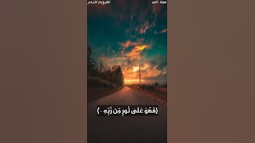 أفمن شرح الله صدرخ للإسلام فهو علي نور من ربه | سورة الزمر للشيخ بدر التركي