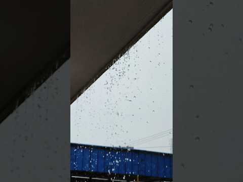 barish....