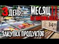 Цены на продукты. Закупка продуктов. Минимальная Зарплата в Украине.День 3 [МЕСЯЦ НА МИНИМАЛКАХ 2.2]