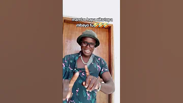 HAPA MAMBO NI KUTUPA MBAO TU Shrots 