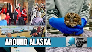 AROUND ALASKA: Totem Pole Relocated, Caps for Cops, and Owl Rescue!
