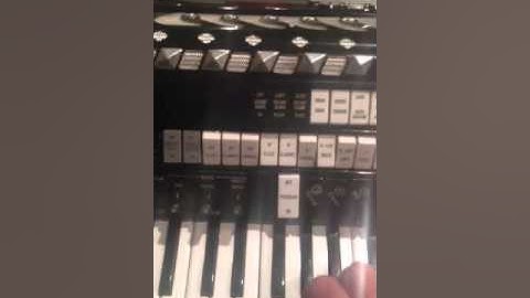 Iorio Accorgan Accordion Series "F" S-3