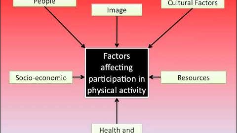 Influences on taking part.mov