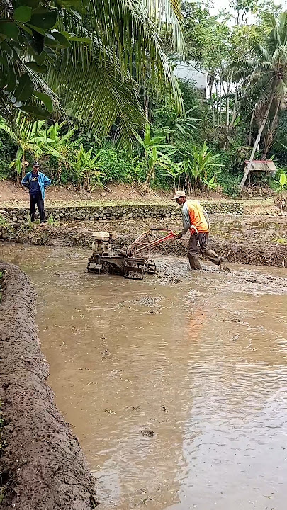 tetangga kepo #dj #cover #djremix #traktortangan