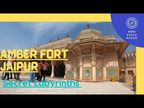 Video: Fuerte Amber de Jaipur: la guía completa