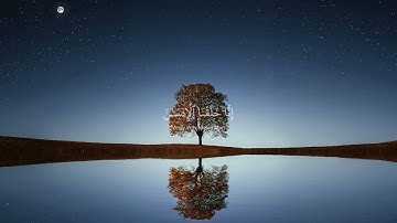 كرومات قران شاشة سوداء _ اسلام صبحي - سورة الانسان