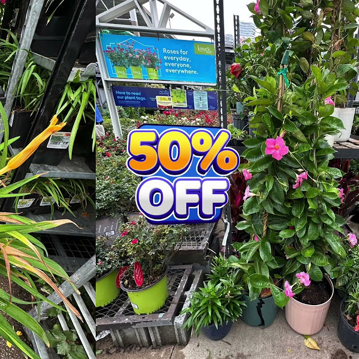 🔥 LOWE’S PLANT SALE! GO NOW! 05/16/24 lowes gardening YouTube