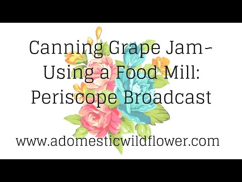 Canning Grape Jam Using a food mill Periscope Broadcast from A Domestic Wildflower