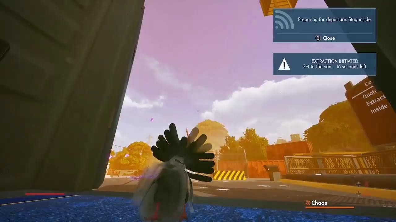 Jake and Mikh live stream