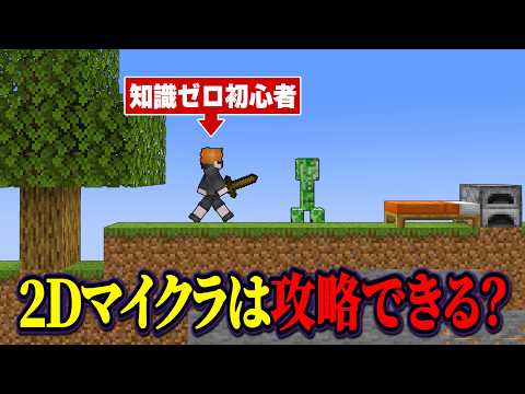 2D Minecraft Completed