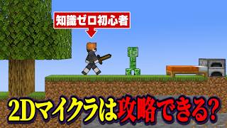 2D Minecraft Completed