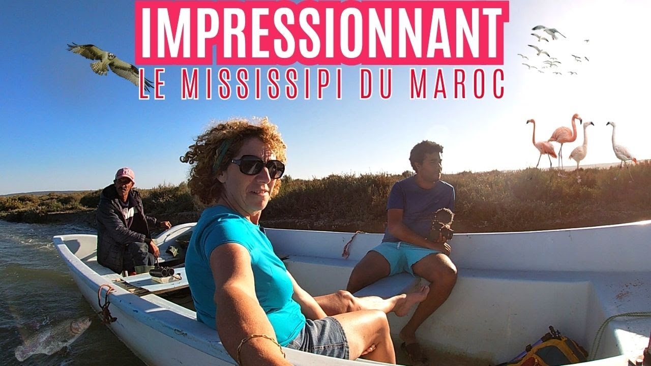 221-LE MISSISSIPPI DU MAROC - a ne pas rater si vous voyagez au Maroc ( Moulay bousselham )