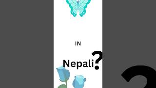 We Translate PDF | How To Translate Page #humantranslation #Nepal #Language #hinditranslation #learn